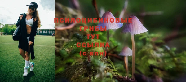 дмт Белокуриха