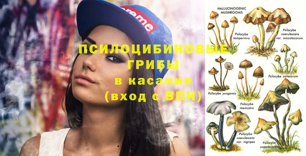 дмт Белокуриха