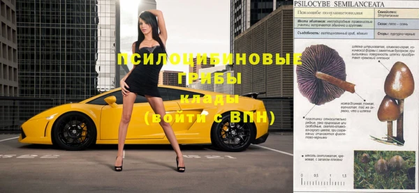 ПСИЛОЦИБИНОВЫЕ ГРИБЫ Белоозёрский