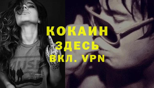 дмт Белокуриха