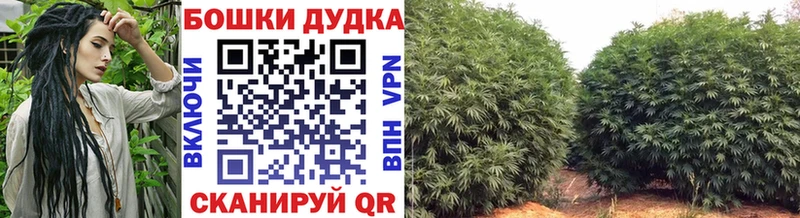 Бошки Шишки конопля  дарк нет официальный сайт  Рыбинск 